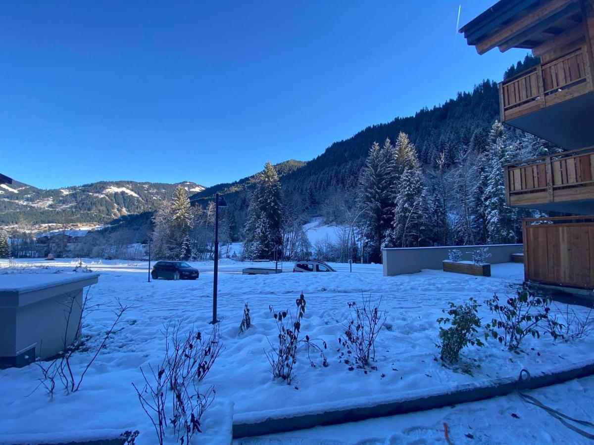 Lumineux Et Spacieux Appartement Contemporain Dans Une Residence Recente Et Paisible A Chatel - Fr-1-693-48 Châtel Exterior foto
